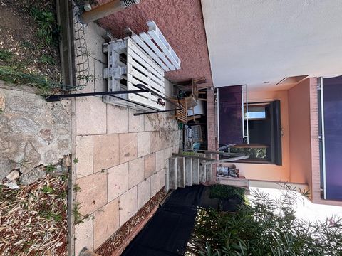 photo no. 4