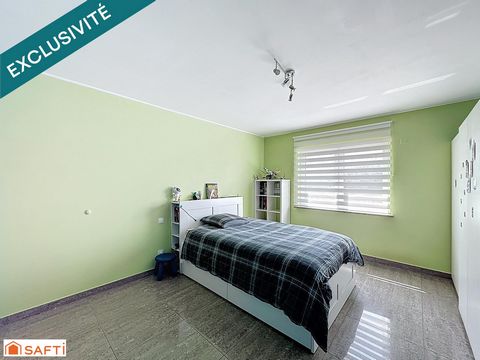 photo no. 10