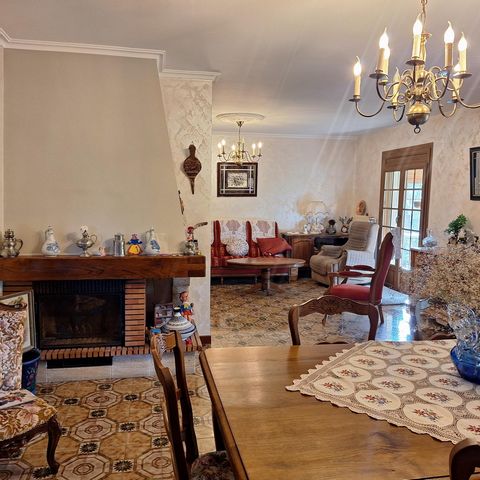 photo no. 4
