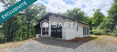 photo no. 13