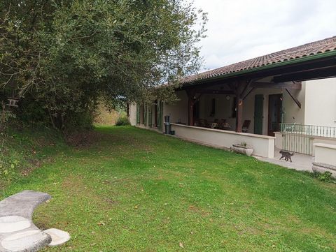 photo no. 2