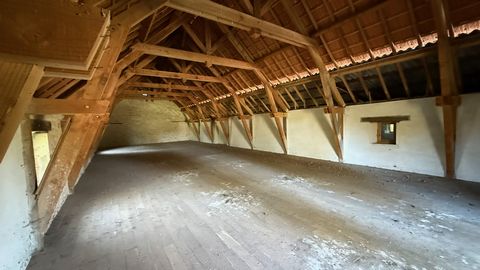 photo no. 4