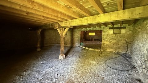 photo no. 13