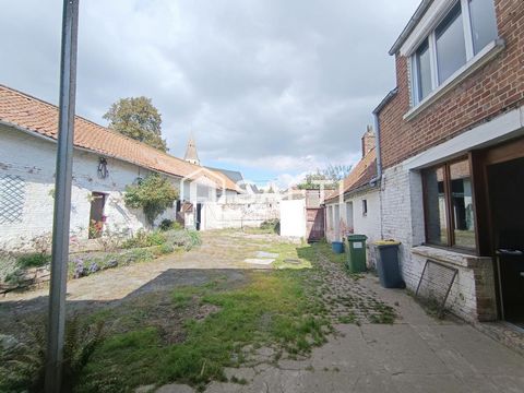 photo no. 2