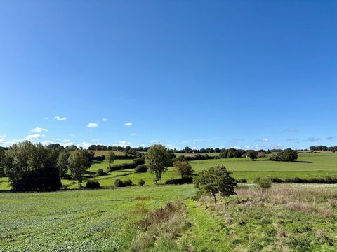 photo no. 12