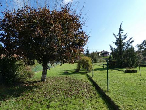photo no. 7