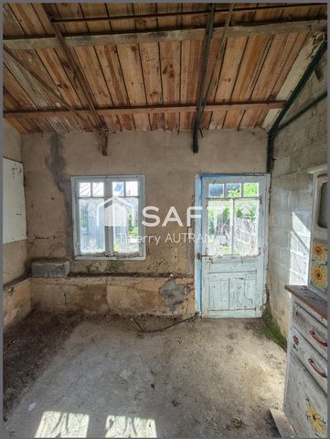 photo no. 16