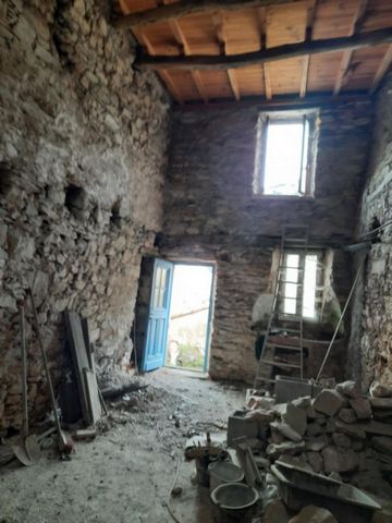 photo no. 5