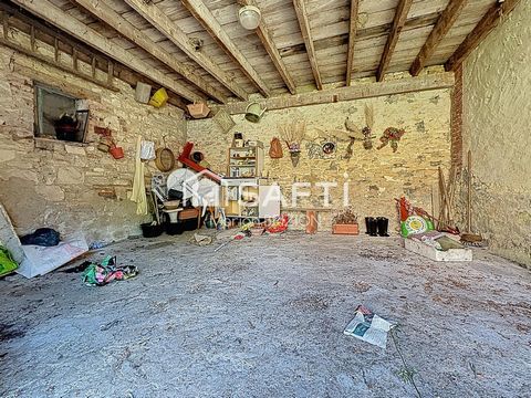 photo no. 10