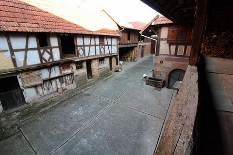 photo no. 8