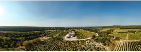 Domaine viticole – Sud de la France