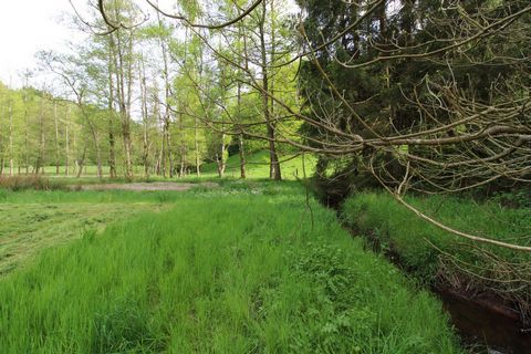 Terrain constructible en lisière de forêt