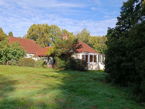 photo no. 3