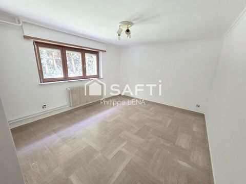 photo no. 12