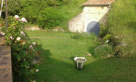 photo no. 10