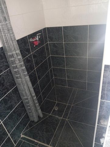 photo no. 12