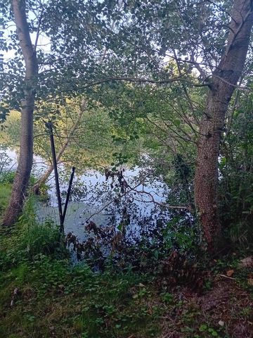 photo no. 11