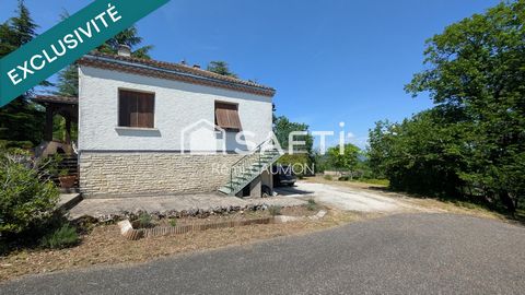 photo no. 13