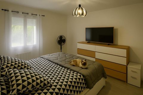 photo no. 13