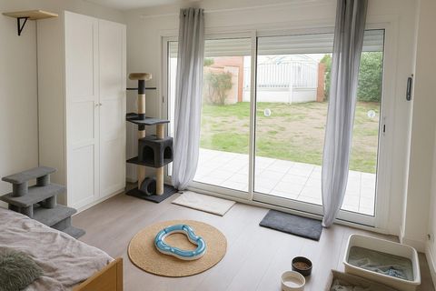 photo no. 14
