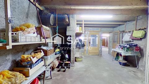 photo no. 8