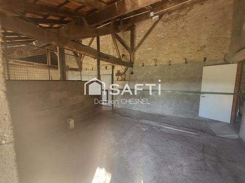 photo no. 15