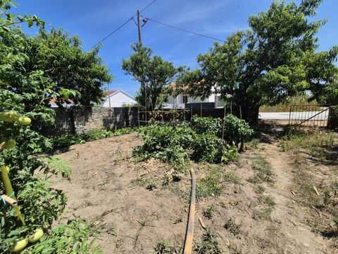 Terrain plat avec faisabilité de construction, de 830 m². situé dans le village de Paião, Figueira da Foz, inséré dans un quartier calme et résidentiel, il se distingue par son excellente exposition au soleil et son accès facile. Les environs offrent...