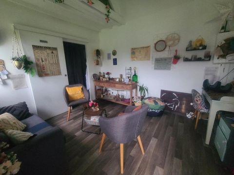 photo no. 6