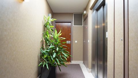 photo no. 11