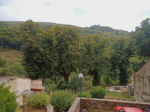 photo no. 6