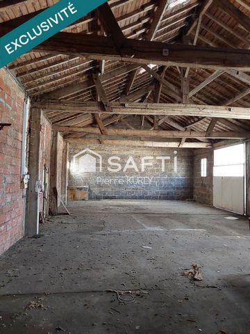 photo no. 6