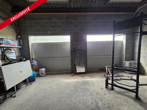photo no. 3