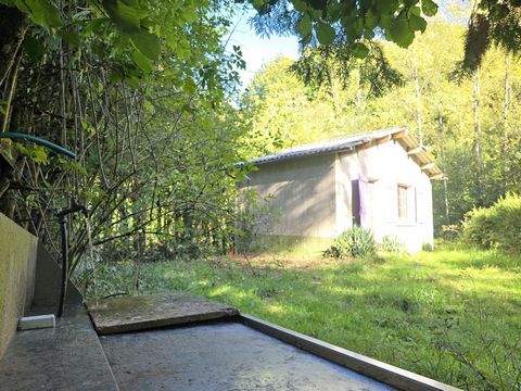 photo no. 12
