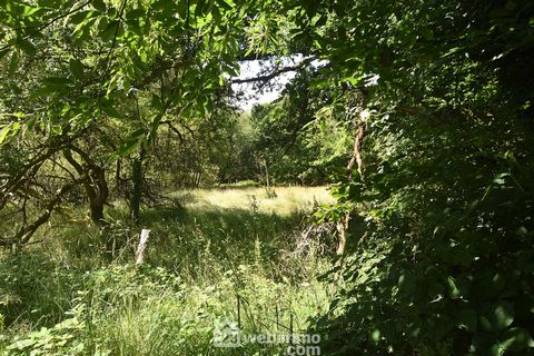 photo no. 18