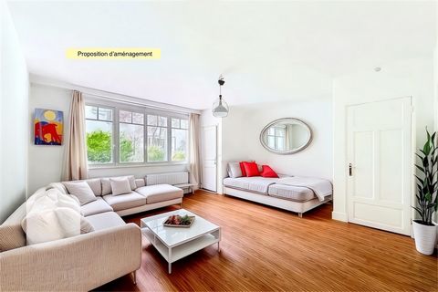 photo no. 2