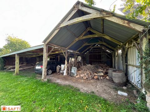 photo no. 13