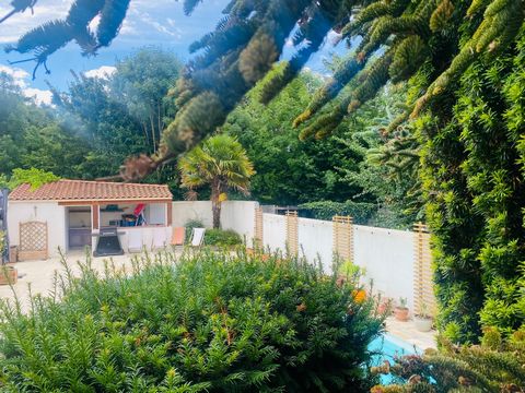 photo no. 14