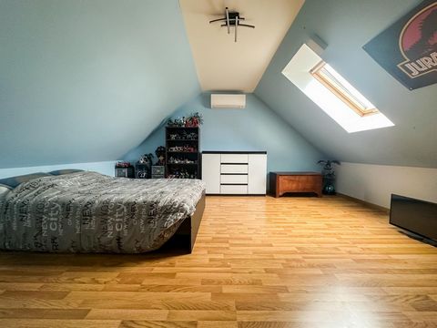 photo no. 8