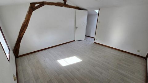 photo no. 11