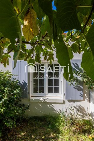 photo no. 15