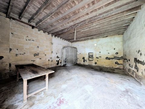 photo no. 3