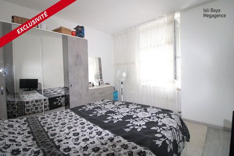 photo no. 5