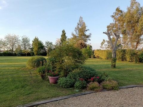 photo no. 15