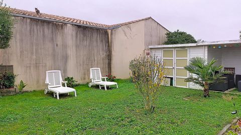 photo no. 9