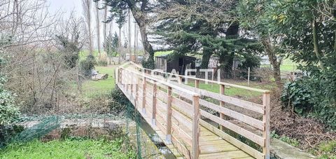 photo no. 11