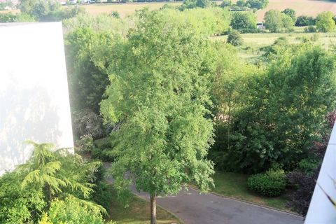 photo no. 6
