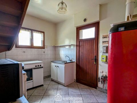 photo no. 11