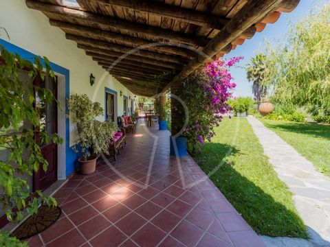 This magnificent 6 hectare farm is located just 2 minutes from Alqueva, the largest artificial lake in Europe. The property, which is a lovely holiday home for a large family , is currently being explored as rural tourism. Presently the owner lives i...
