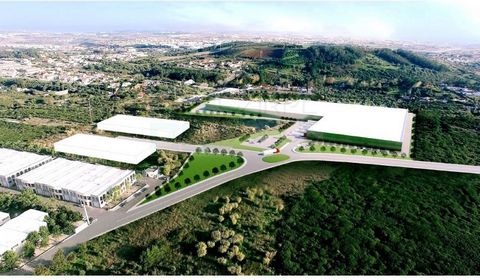 Industrial land with 85,000 m2, in the Industrial zone of Linhó/Beloura in Sintra, near the A5, A16 and IC19. The Logistic Centre Lidl; Autodromo do Estoril; Beloura; Penha Longa. Ideal for automotive industry; Pharmaceuticals; ECommerce; Logistics; ...