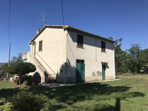 CIVITELLA PAGANICO (GR): 21 ha farm, composed of: - arable land of slight hillside irrigated land of about 13.5 ha with three wells; - land used as vineyard and olive grove for a total of 1.5 ha approx; - approximately 6 ha of coppice woodland. The f...